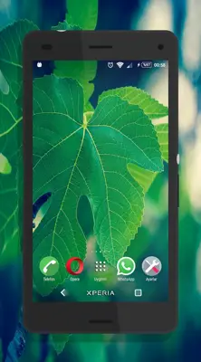 Halla Green Theme android App screenshot 4